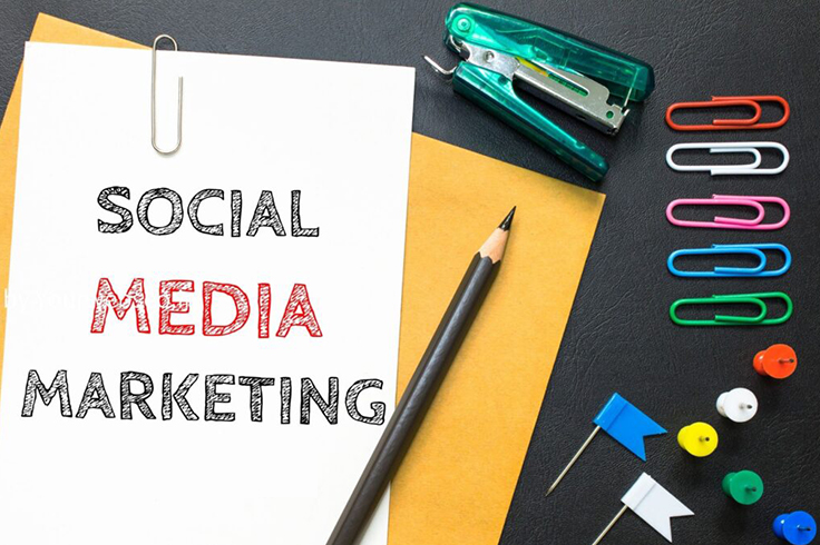 social media marketing company in Kolkata